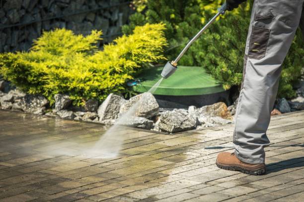 Best Sign and Awning Cleaning  in Lealman, FL
