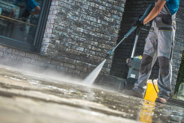 Best Gutter Cleaning  in Lealman, FL