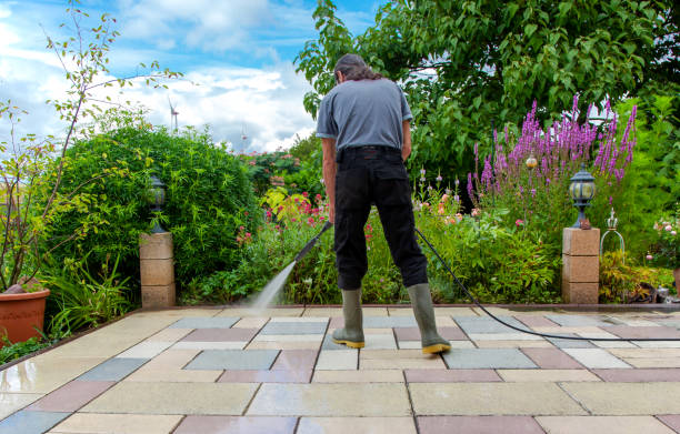 Professional Pressure Washing Services in Lealman, FL