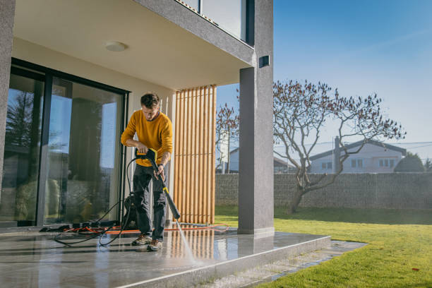 Animal Enclosure Cleaning in Lealman, FL