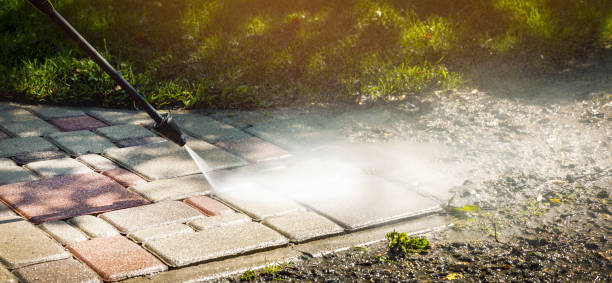 Best Oil Spill Cleanup  in Lealman, FL